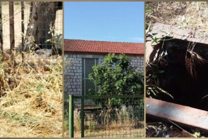 inCollage 20200604 095121940