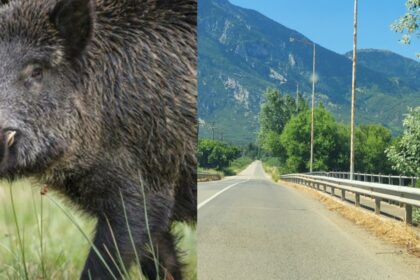 inCollage 20200616 174252846