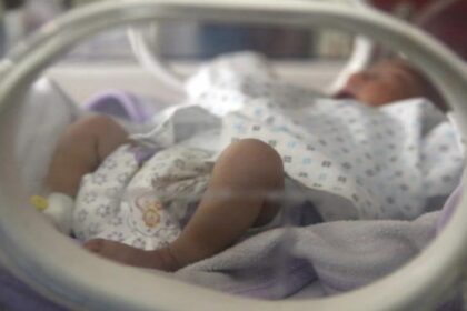 mwro thermokoitida koronoios