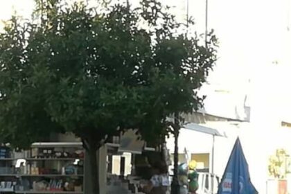 received 3098910173531940