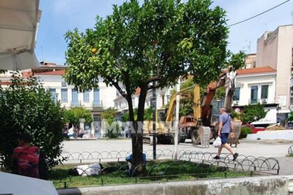 received 314088529597278