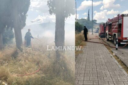 received 710517049763798