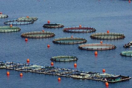 w21 101858w27175024ixthiokalliergeies