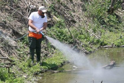 κουνούπια ψεκασμοί 1021x580 1
