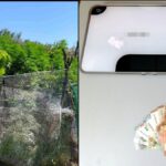 ναρκοταικα