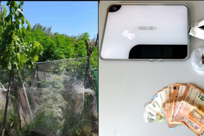 ναρκοταικα