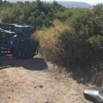 τροχαιο γουρουνα