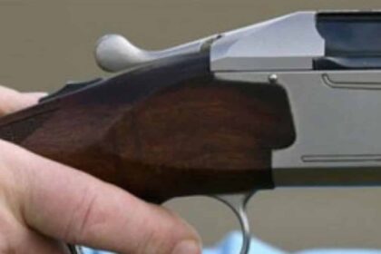 98 nea aftoktonia 50chronou stin evvoia