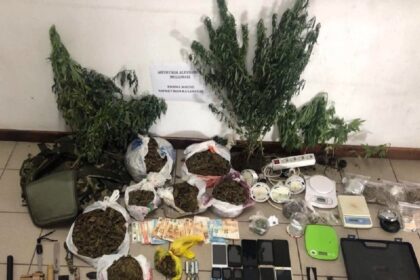 Kalamata speires narkwtika