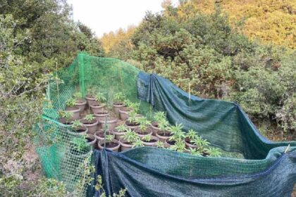 Serres xasisofyteia ekriktika