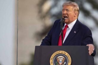 Trump vivlio