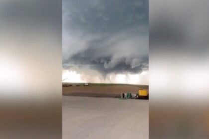 anemostrovilos agroktima