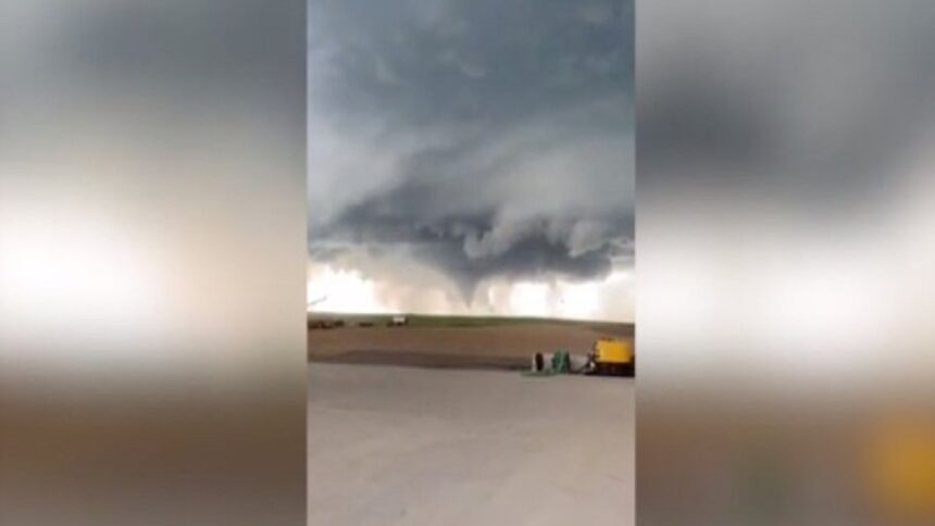 anemostrovilos agroktima