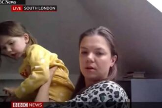 bbc video