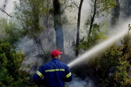 fotia pirosvestis copy 1200x675