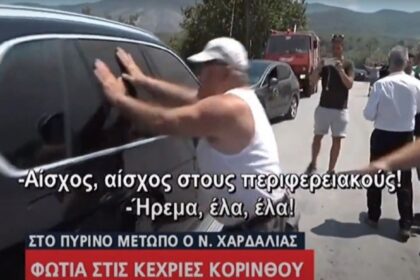 hardalias 3 copy 1200x675