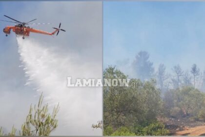 inCollage 20200716 1753358661