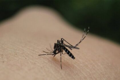 ios dytikou neilou copy 1200x675