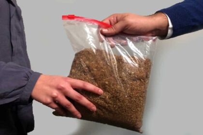 kapnos adasmologitos