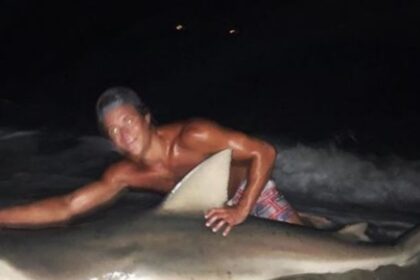 karxarias copy 1200x675