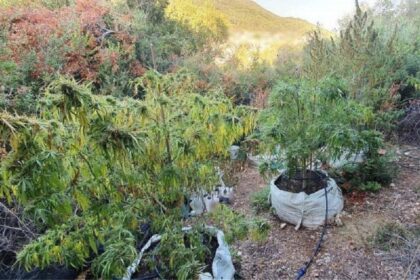 kerkyra xasisodentra