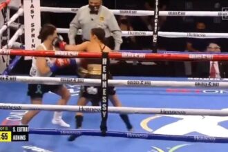 knockout copy 1200x675