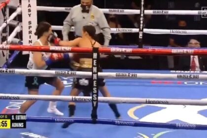 knockout copy 1200x675