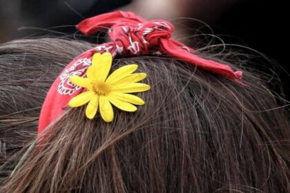 mallia arxeio 768x598 1200x934 copy 1200x675