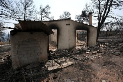 mati ape copy 1200x675