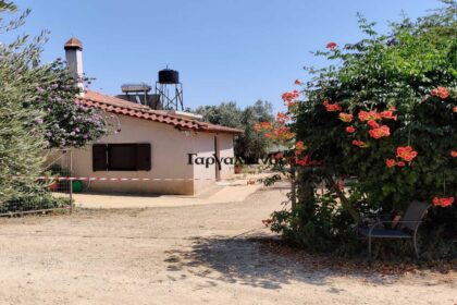 messinia2 arxiki 1200x871 copy 1200x675