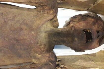 mummy copy 1200x675