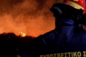 pyrosbestiki eurokinissi