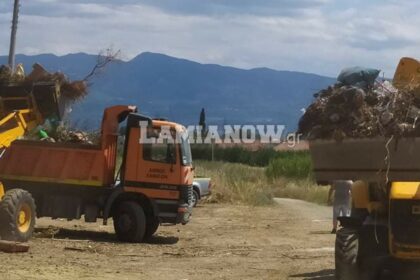 received 3183125201779314