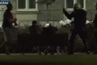 servia ksilo astinomia screenshot1
