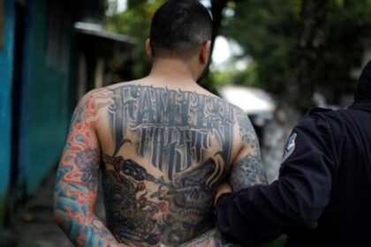 usa ms13
