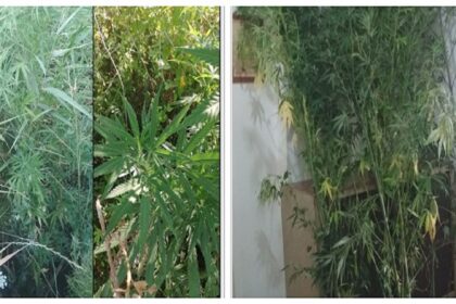 xortaraki toy theou collage