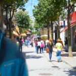 βλαχογιαννισ