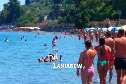 εκτοσ κυκνοιι