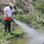 κουνούπια ψεκασμοί 1021x580 1