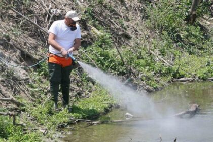 κουνούπια ψεκασμοί 1021x580 1