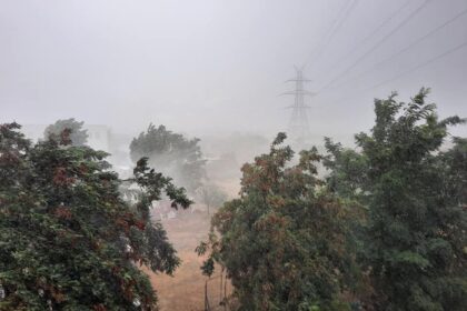 116629826 10207886965010024 4941212296869545690 n