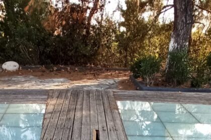 118007114 344870566554488 2555655304483077245 n scaled