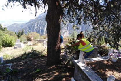 118213079 1814806628659845 4248536269162511740 n