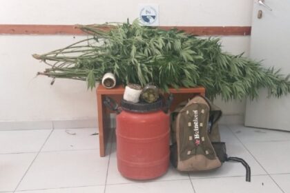 Thesprwtia xasisodentra barka