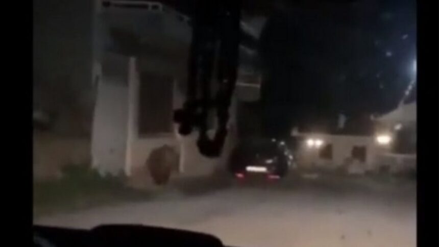 arkouda kostarazi 760x490 copy 1200x675