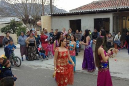 drosero1 1024x768 1 780x405 1