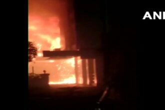 fire ekso