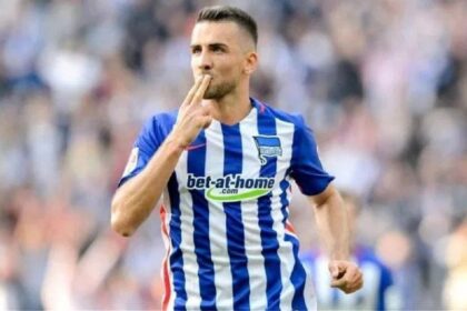 ibisevic