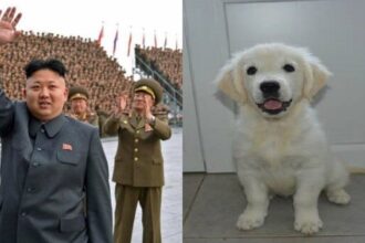 kim