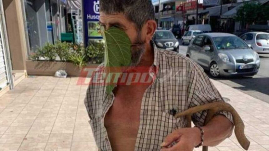 platanofyllo0 1200x652 copy 1200x675